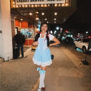 ROMWE Blue and White Checkered Dress